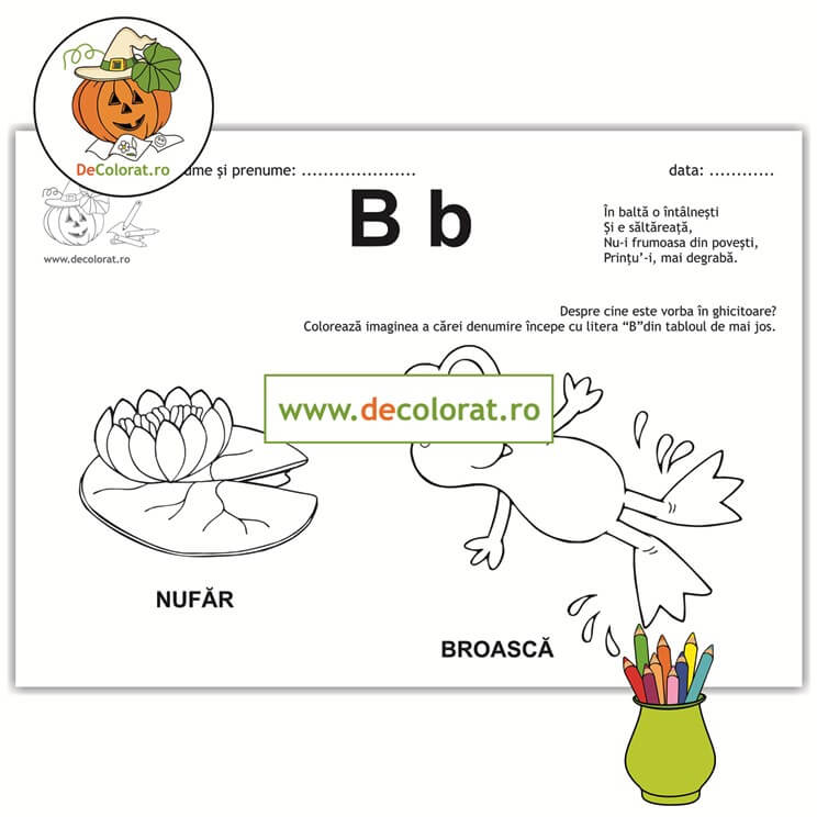 Litera și Sunetul B – fișă de lucru cu ghicitoare (broască)