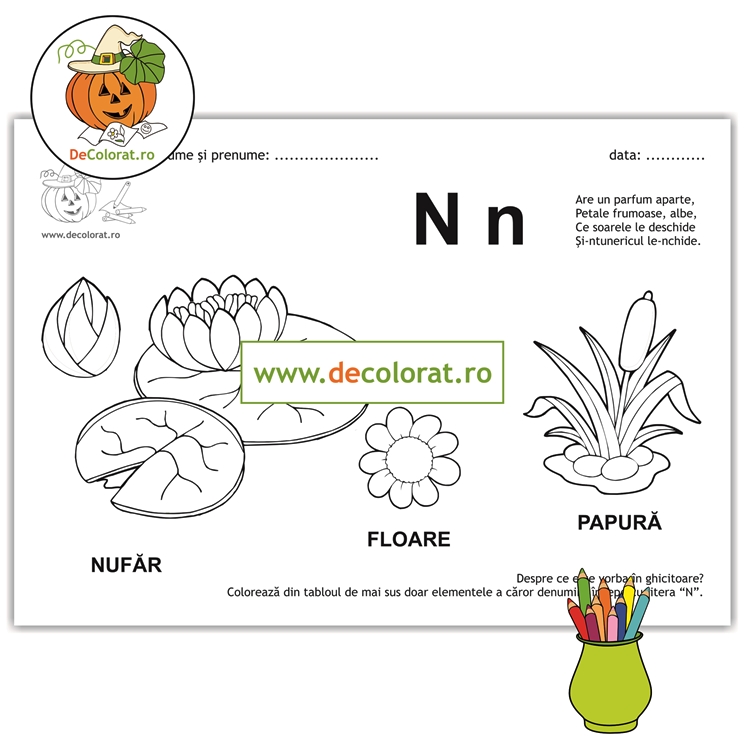 Litera și Sunetul N – fișă de lucru cu ghicitoare (nufăr)