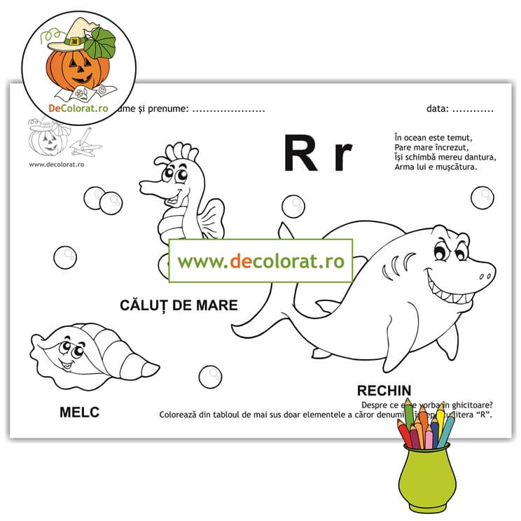Litera și Sunetul R – fișă de lucru cu ghicitoare (rechin)