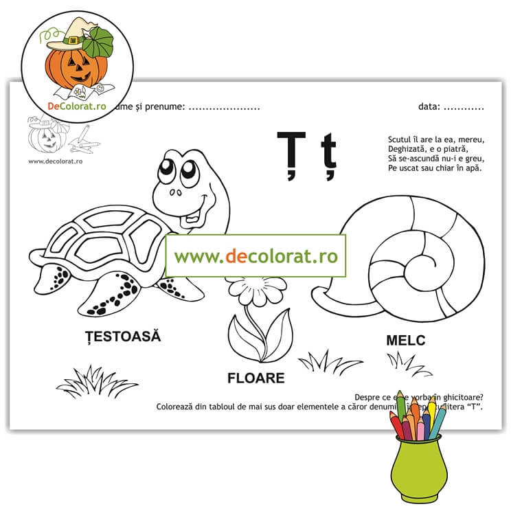 Litera și Sunetul Ț – fișă de lucru cu ghicitoare (țestoasă)