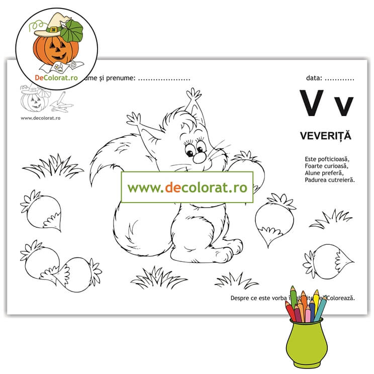 Litera și Sunetul V – fișă de lucru cu ghicitoare (veveriță)