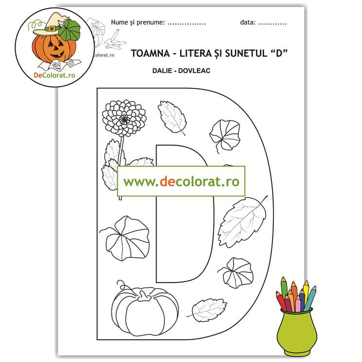 Litera și Sunetul D în imagini de toamnă – plansă de colorat cu dalie și dovleac