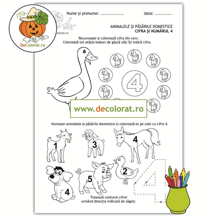 Animale și păsări domestice – cifra 4 – Recunoaște cifra, numără, colorează și trasează!