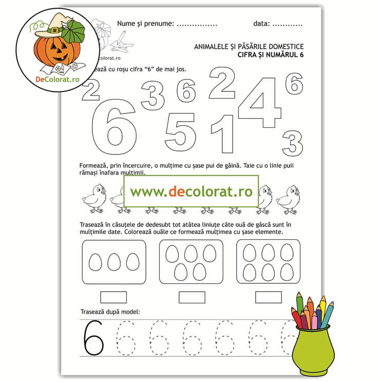 Animale și păsări domestice – cifra 6 – Identifică cifra, numără, formează mulțimi și trasează!