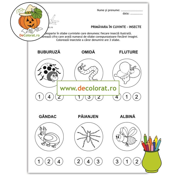 Fișă de lucru cu insecte – despărțirea în silabe