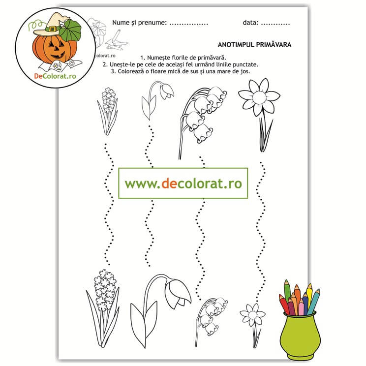 Flori de primăvară – fișă de trasare și comparare (mare-mic, sus-jos)