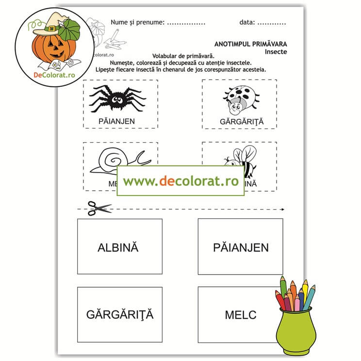 Vocabular de primăvară – fișă de decupare cu insecte