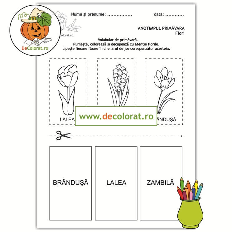 Vocabular de primăvară – fișă de decupare cu flori