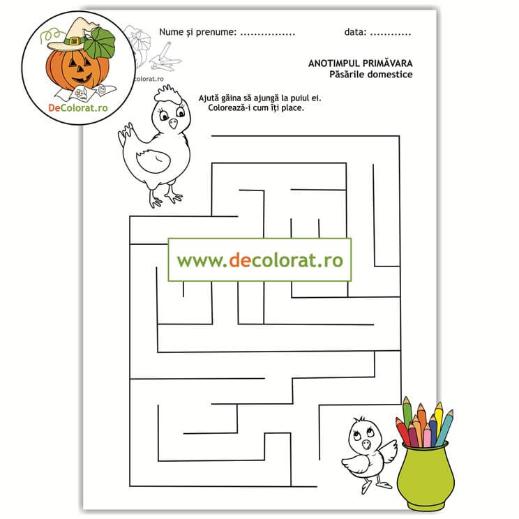 Labirint cu păsări domestice  – fișă de lucru