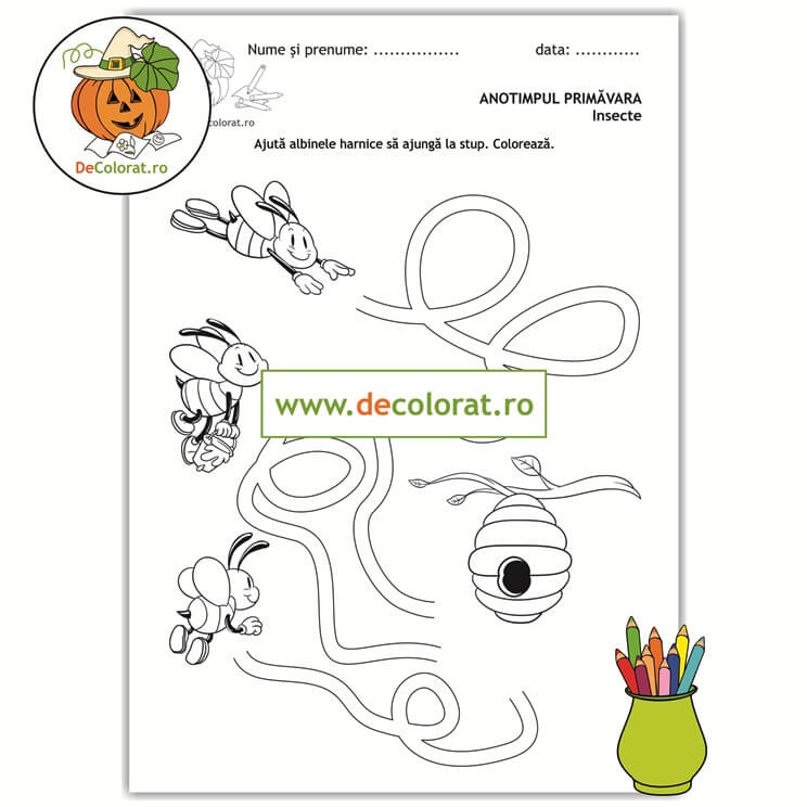 Labirint de primăvară cu albinuțele harnice – fișă de trasare