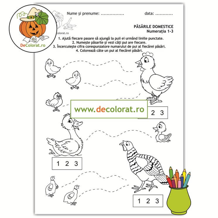 Fișă de lucru cu păsări domestice – numerația în limitele 1-3 – primăvara