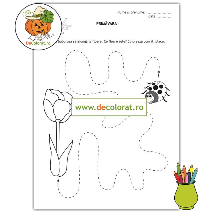 Fișă de trasare cu buburuză și lalea – anotimpul primăvara
