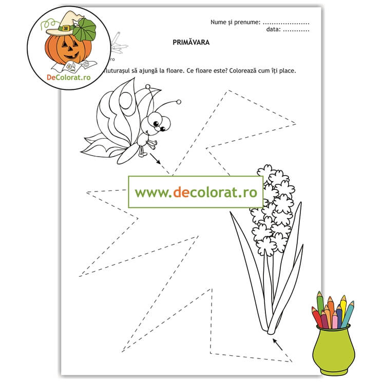 Fișă de trasare cu fluture și zambilă – anotimpul primăvara