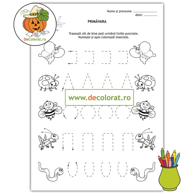 Fișă de lucru cu elemente grafice cu insecte