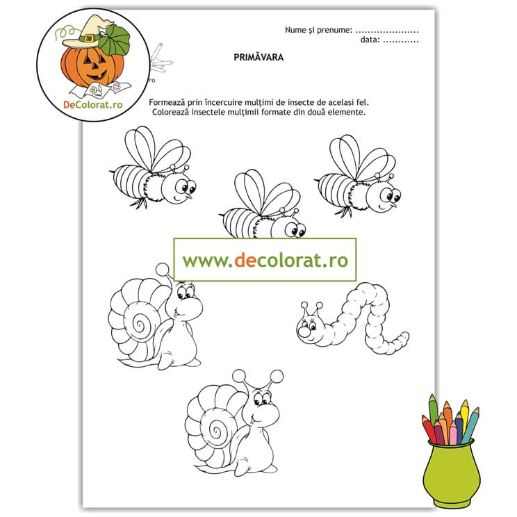 Fișă de lucru cu insecte – formare mulțimi – numerația 1-3