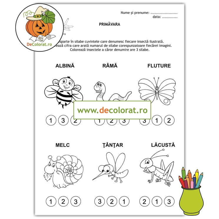 Fișă de activitate cu insecte – despărțirea în silabe