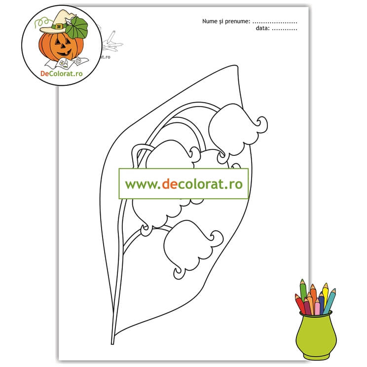 Planșă de colorat cu lăcrămioară – florile primăverii