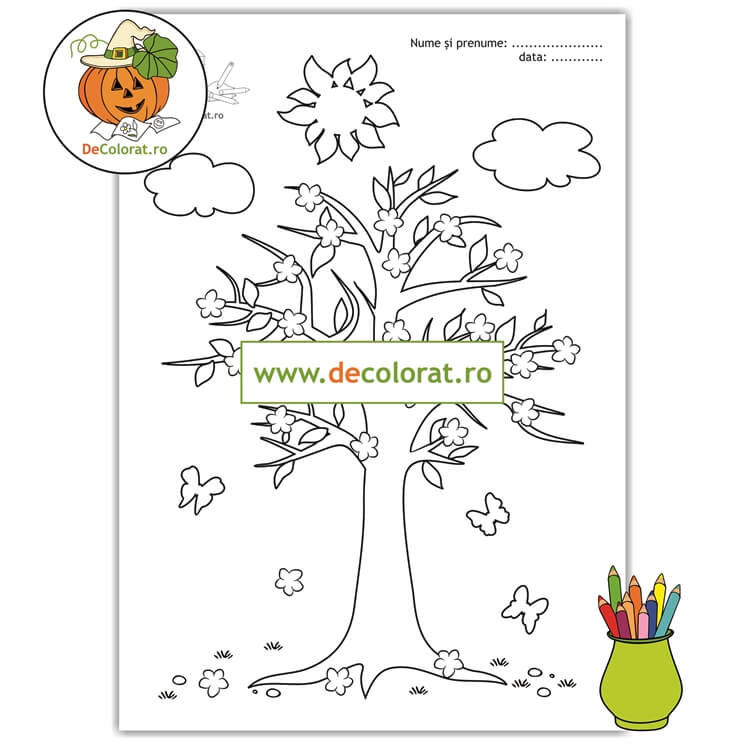 Planșă de colorat cu măr înflorit – florile primăverii