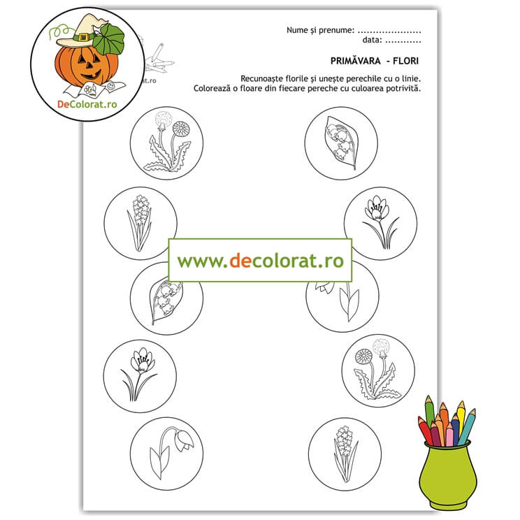 Fișă de lucru cu flori de primăvară  – formare perechi