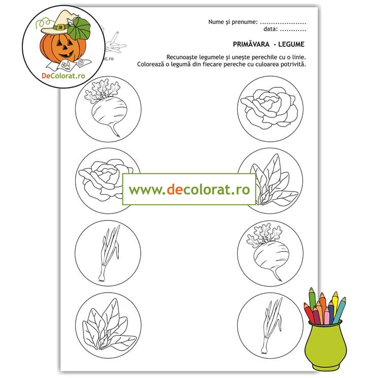 Fișă de lucru cu legume de primăvară  – formare perechi