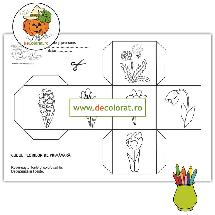 Fișă de decupare – cubul florilor de primăvară