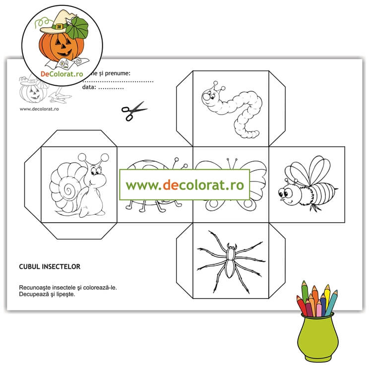 Fișă de decupare – cubul insectelor