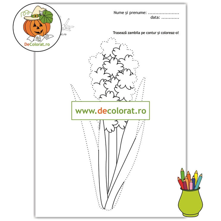 Zambila – fișă de lucru cu linii punctate cu floare de primăvară