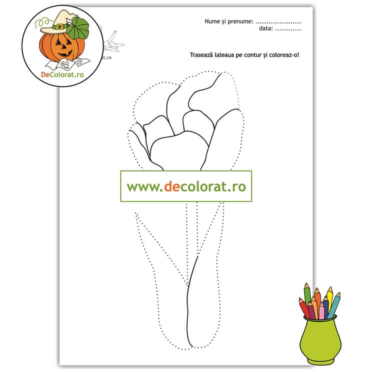 Laleaua – fișă de lucru cu linii punctate cu floare de primăvară