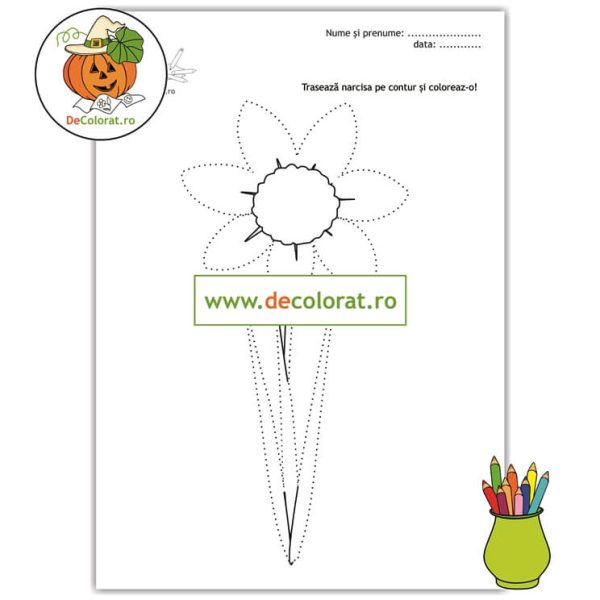 Zambila - fișă de lucru cu linii punctate | DeColorat.ro