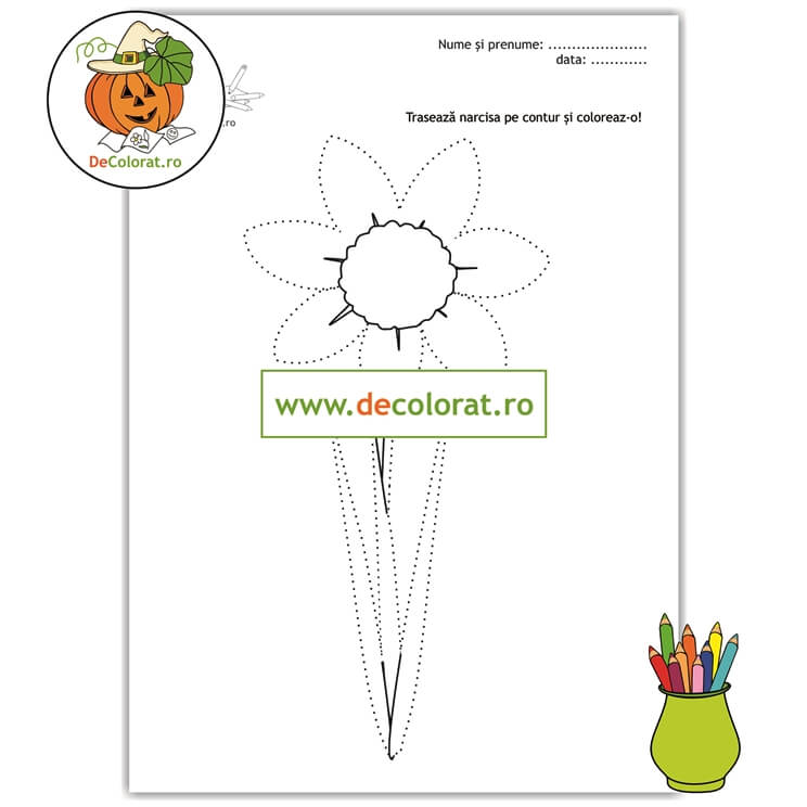 Narcisa – fișă de lucru cu linii punctate cu floare de primăvară