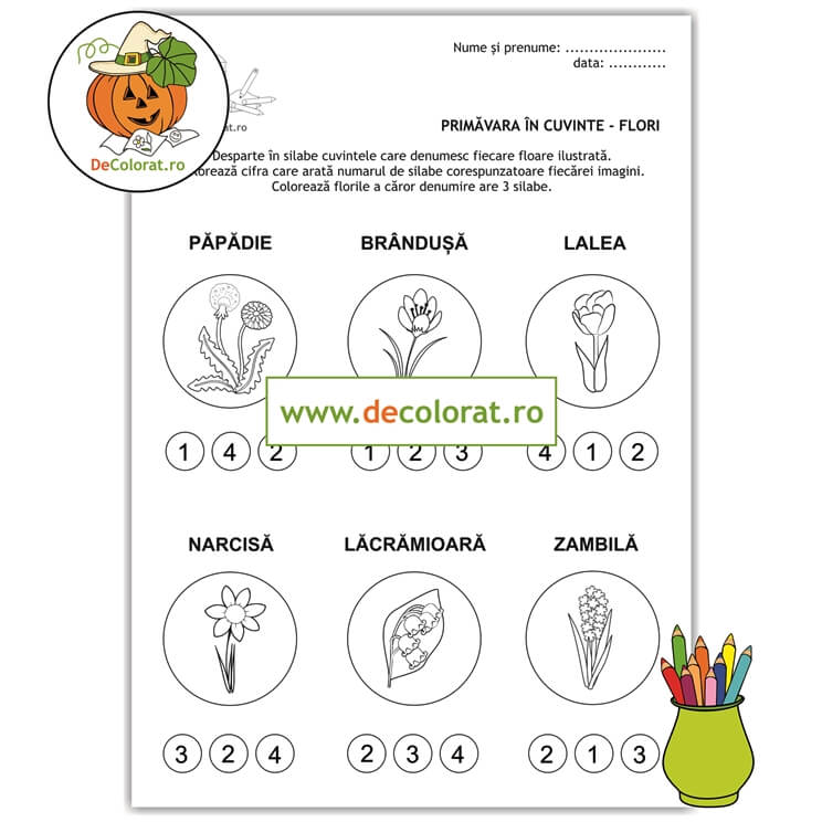 Fișă de activitate cu flori de primăvară – despărțirea în silabe