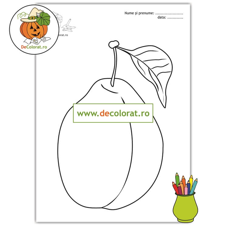 Bogățiile toamnei – planșă de colorat cu prună