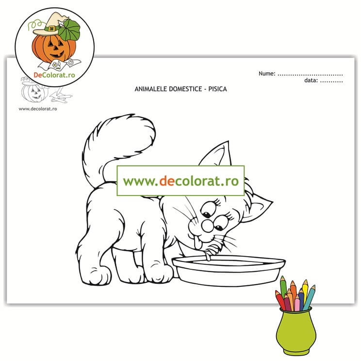 Pisica – planșă de colorat  – animalele domestice