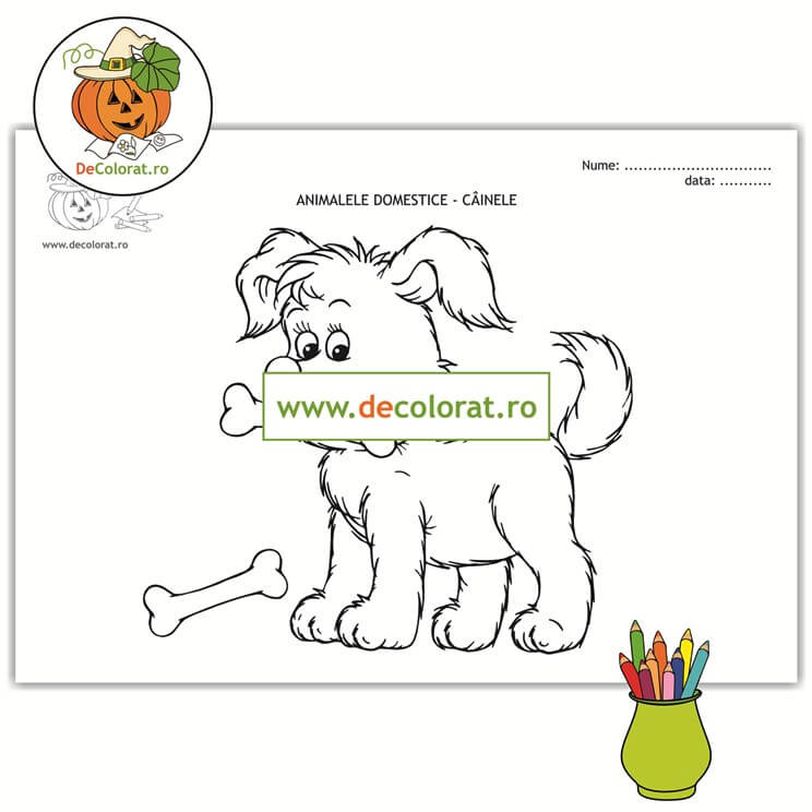 Câinele – planșă de colorat – animalele domestice