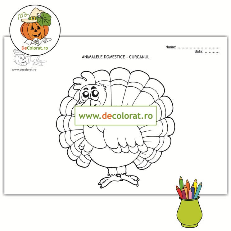 Curcanul – planșă de colorat  – păsările domestice