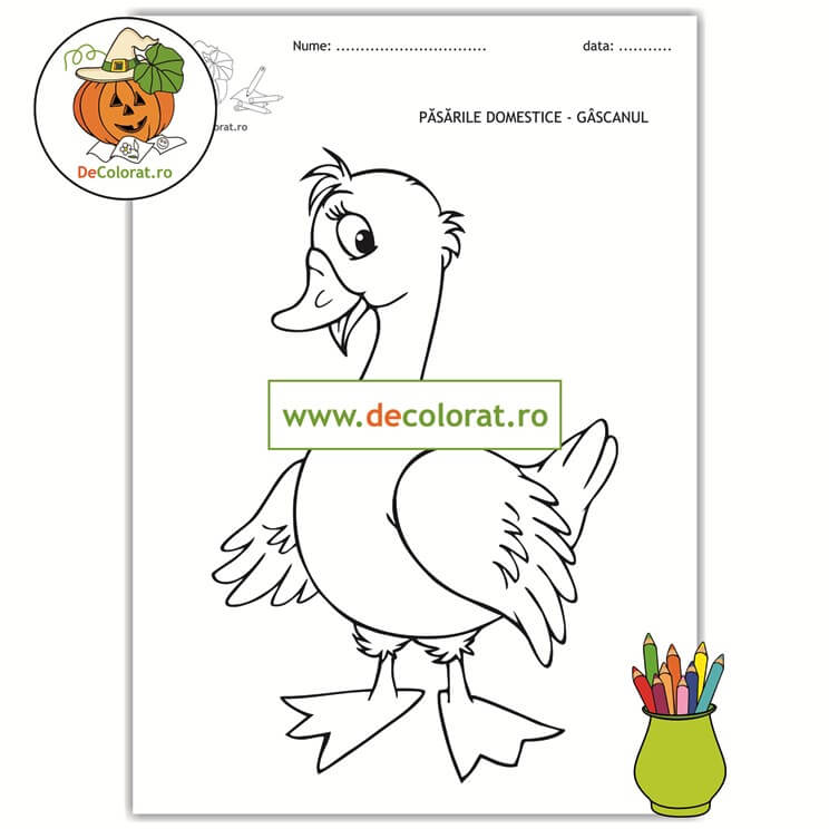 Gâscanul – planșă de colorat – păsările domestice