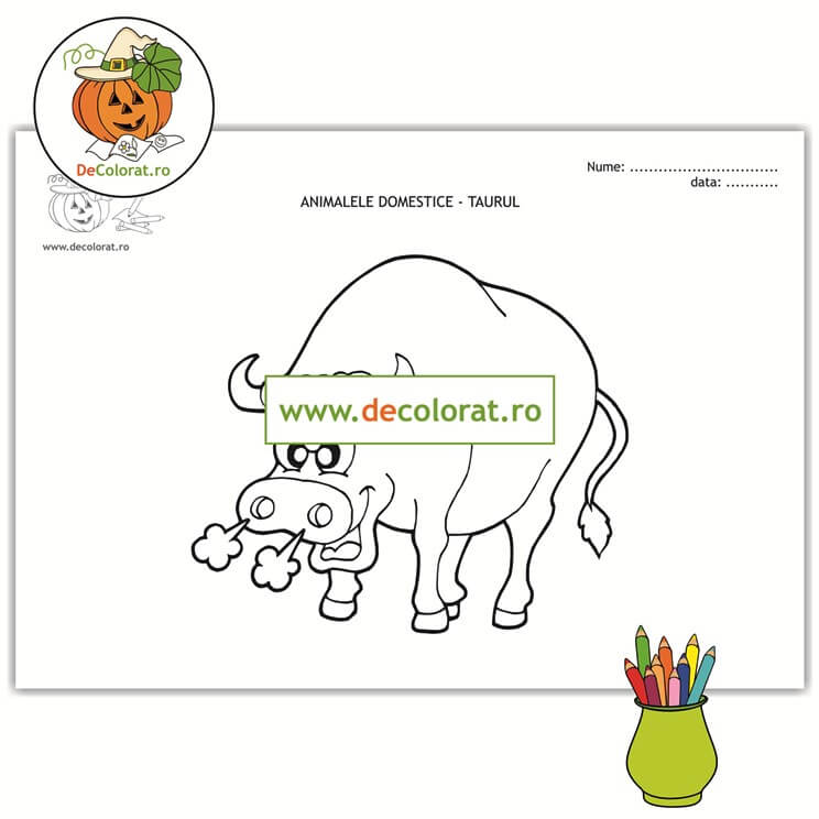 Taurul – planșă de colorat – animalele domestice