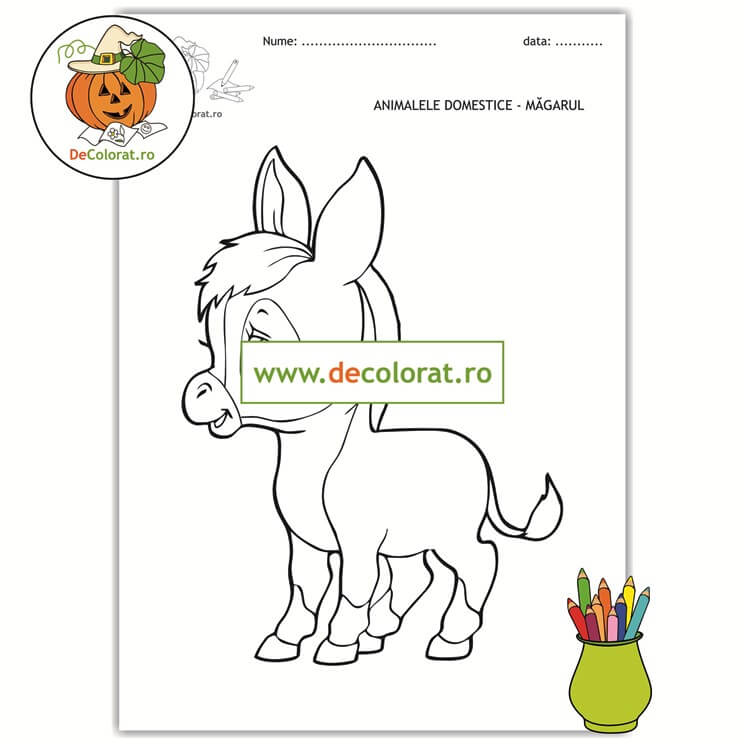 Măgarul – planșă de colorat – animalele domestice
