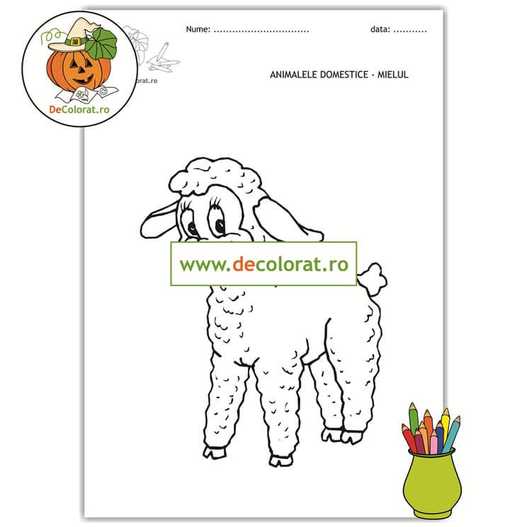 Mielul – planșă de colorat – animalele domestice