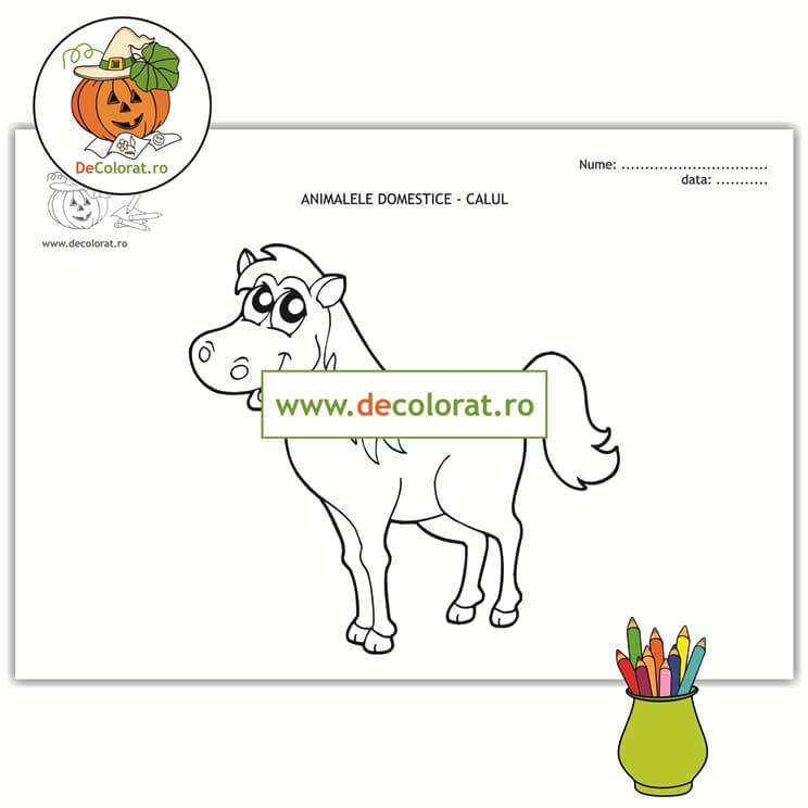 Calul – planșă de colorat  – animalele domestice