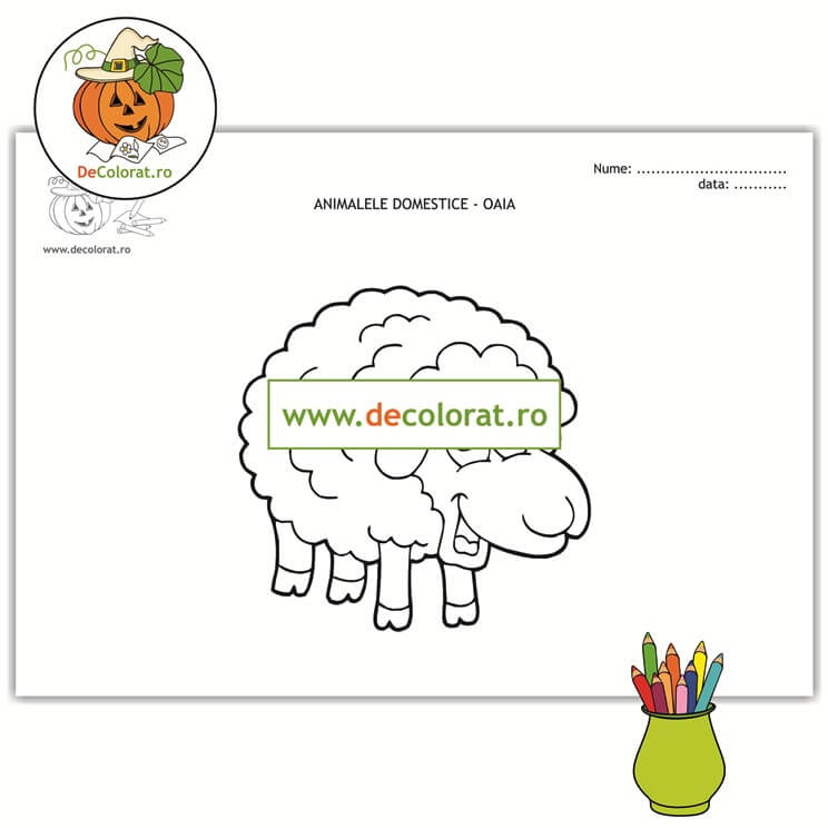 Oaia – planșă de colorat  – animalele domestice