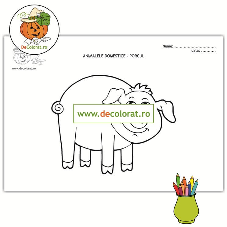 Porcul – planșă de colorat  – animalele domestice