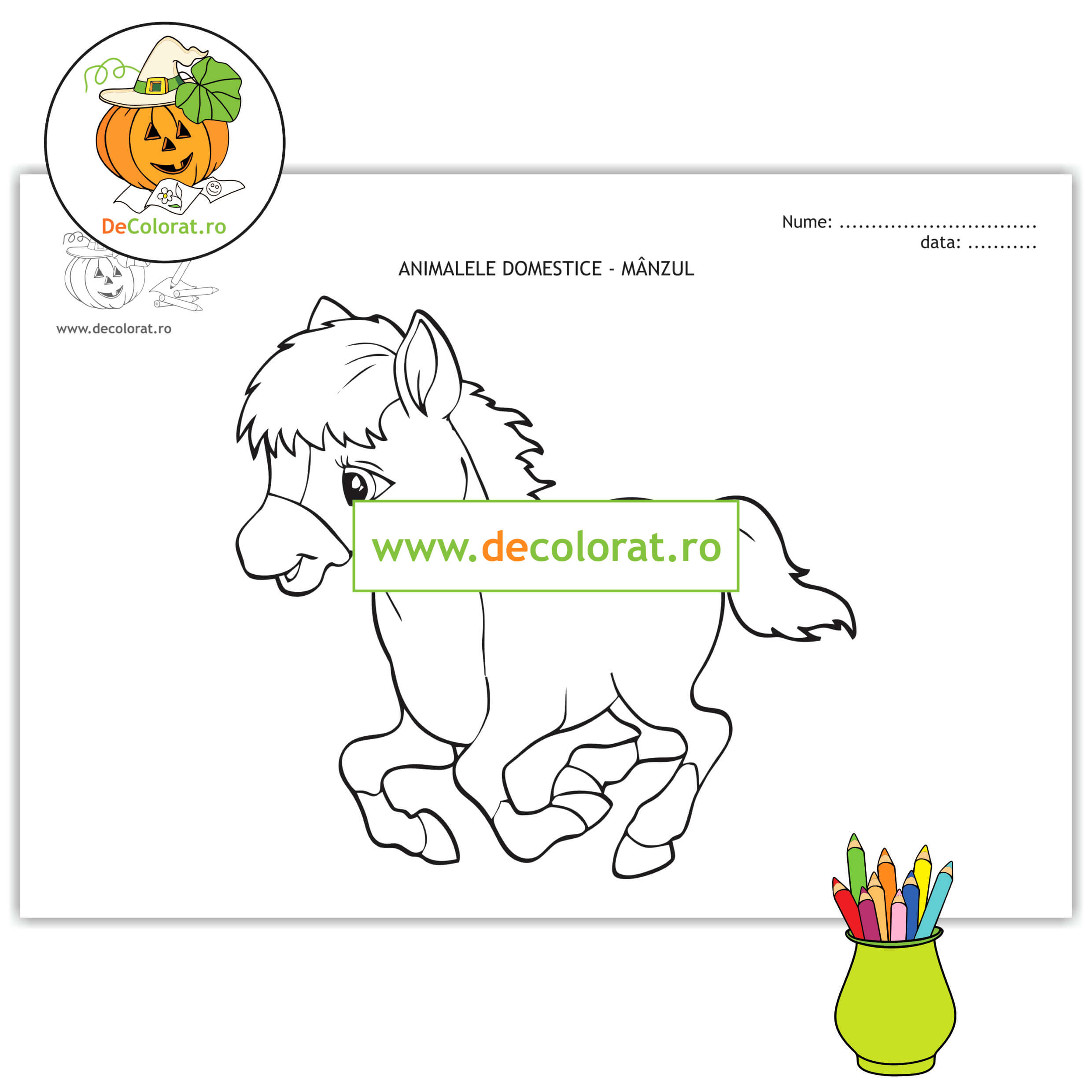 Mânzul – planșă de colorat  – animalele domestice