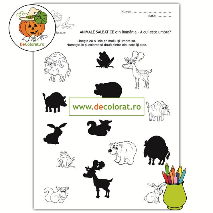 Animale sălbatice din România – A cui este umbra?