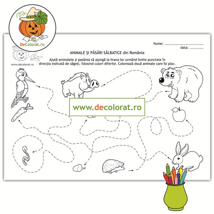 Animale și păsări sălbatice din Romania – fișă de trasare