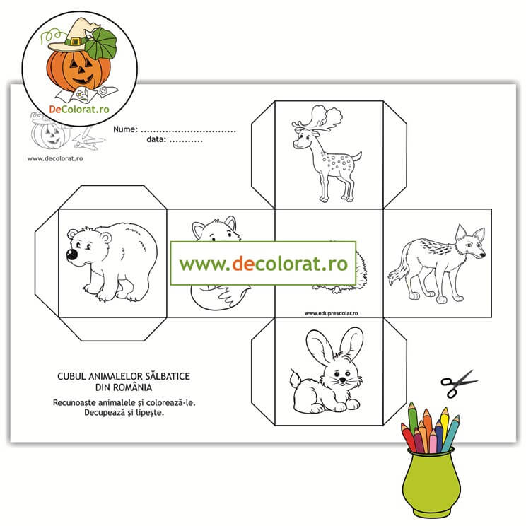 Animale sălbatice din România  – fișă decupare și lipire cub