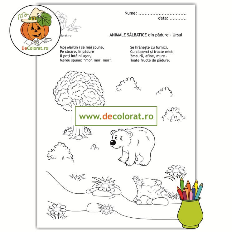 Animale sălbatice din pădure – ursul – planșă de colorat cu ghicitoare