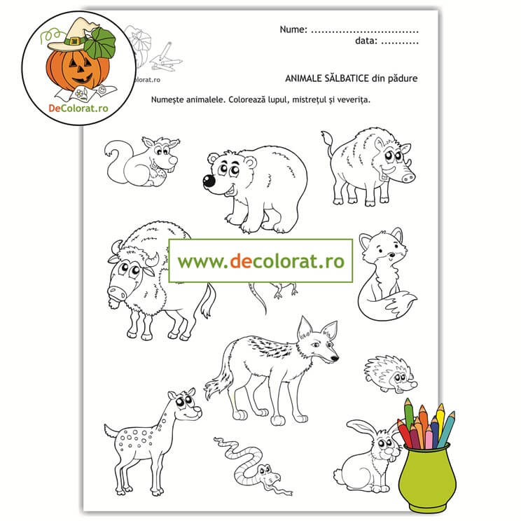 Animale sălbatice din pădure – planșă de colorat