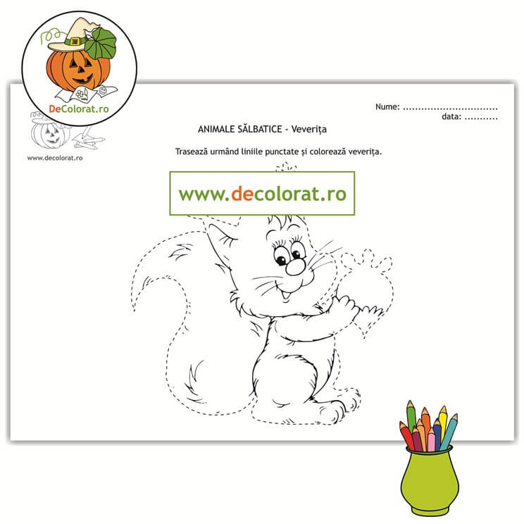 Animale sălbatice – veverița – fișă de trasare