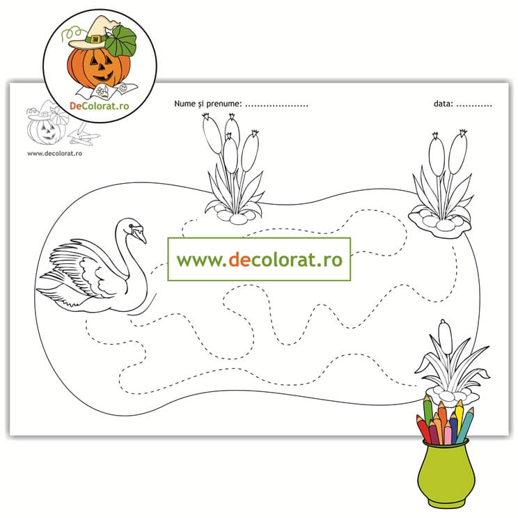 Lebăda pe lac – fișă de trasare și de colorat
